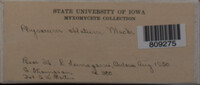 Image Associated With the Occurence
